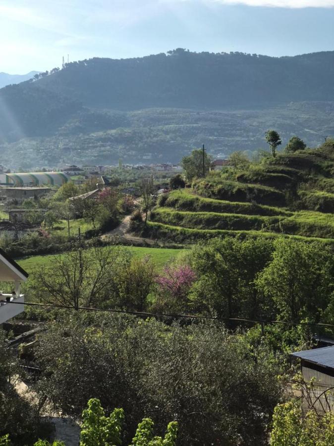 Villa Rexho 培拉特 外观 照片